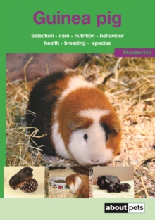 Image for The guinea pig  : a guide to selection, housing, care, nutrition, behaviour health, breeding, species and colours