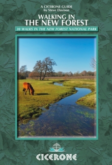 Walking in the New Forest