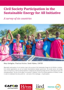 Image for Civil Society Participation in the Sustainable Energy for All Initiative