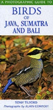 Image for A photographic guide to birds of Java, Sumatra and Bali