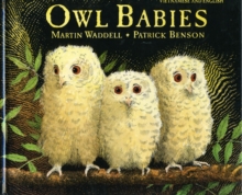 Image for Owl Babies