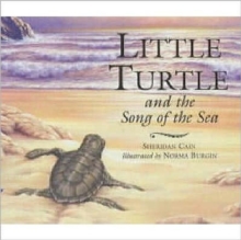 Image for Little Turtle and the song of the sea