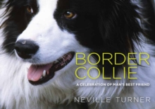 Image for Border Collie