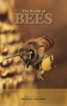 Image for The World of Bees