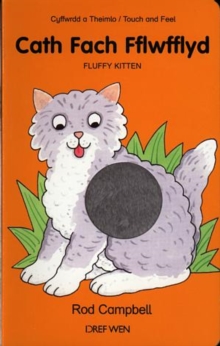 Image for Cath Fach Fflwfflyd : Fluffy Kitten