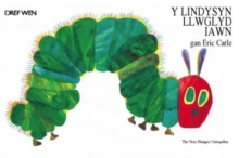 Image for The Lindysyn Llwglyd Iawn, Y/Very Hungry Caterpillar