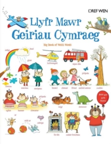 Image for Llyfr Mawr Geiriau Cymraeg