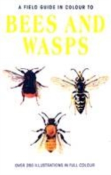 Image for Bees and wasps