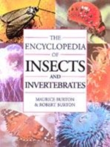 Image for ENCYCLOPAEDIA OF INSECTS & INVERTEBRATE