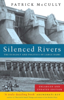 Silenced Rivers
