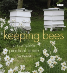 Image for Keeping bees  : a complete practical guide