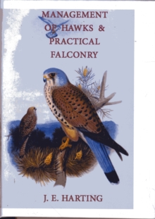 Image for Hints on the management of hawks and practical falconry