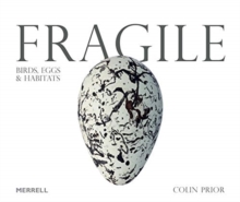 Image for Fragile: Birds, Eggs & Habitats