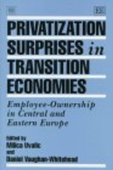 Image for Privatization Surprises in Transition Economies