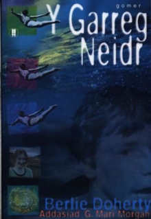 Image for Cyfres Nofelau i'r Arddegau: Garreg Neidr, Y