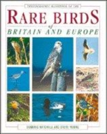 Image for Photographic Handbook to the Rare Birds of Britain and Europe