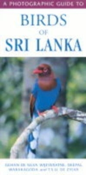 Image for A photographic guide to birds of Sri Lanka