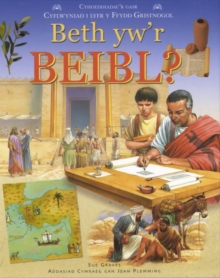 Image for Beth Yw'r Beibl?