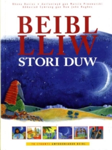 Image for Beibl Lliw Stori Duw