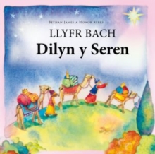 Image for Llyfr bach dilyn y seren