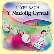 Image for Llyfr bach y nadolig cyntaf