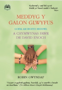 Image for Meddyg y Galon Glwyfus - Gofal am Iechyd Meddwl a Chymwynas Fawr Dr David Enoch