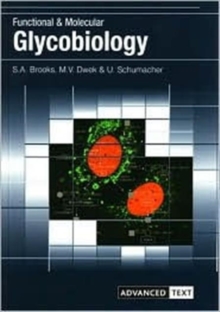 Image for Functional and Molecular Glycobiology