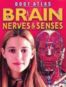 Image for Nerves, brain & senses