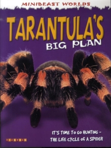 Image for Tarantula's big plan