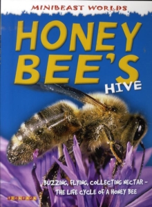 Image for Honeybee's hive