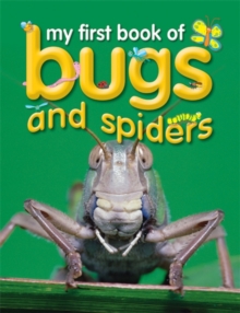 Image for My First Book of Bugs & Spiders