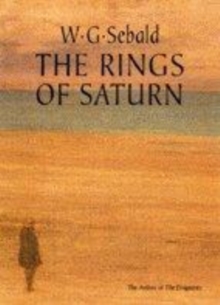 Image for The rings of Saturn