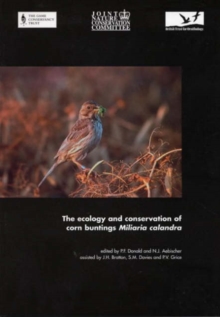 Image for Ecology and Conservation of Corn Buntings Milaria Calandra