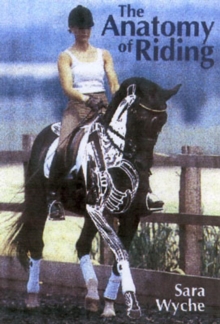 Anatomy of Riding