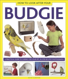 Image for How to look after your budgie  : a practical guide to caring for your pet, in step-by-step photographs