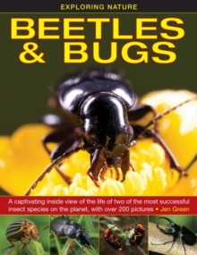 Image for Beetles & bugs