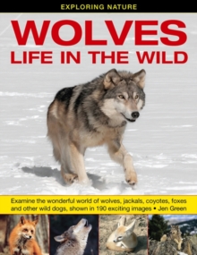 Image for Wolves  : life in the wild