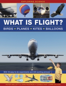 Image for Exploring Science: What Is Flight?