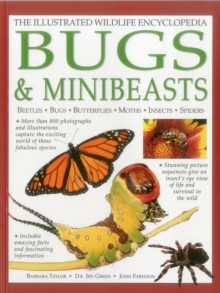 Image for Illustrated Wildlife Encyclopedia: Bugs & Minibeasts