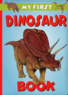 Image for My First Dinosaur Book