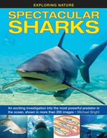 Image for Spectacular sharks  : an exciting investigation into the most powerful predator in the ocean, shown in more than 200 images