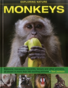Image for Exploring Nature: Monkeys