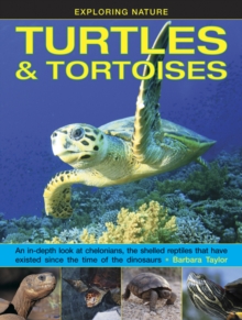 Exploring Nature: Turtles & Tortoises