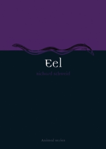 Image for Eel