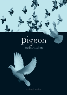 Image for Pigeon