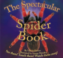 Image for The Spectacular Spider Book