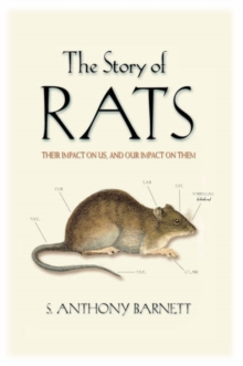 Image for The Story of Rats