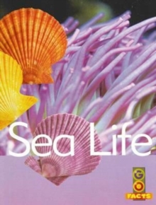 Image for Sea Life
