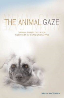 animal gaze