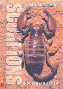 Image for Scorpions of Southern Africa